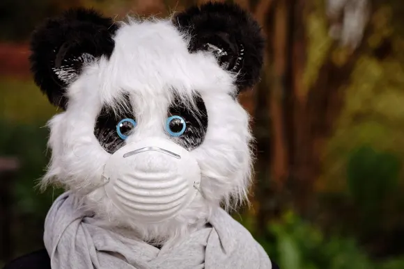 유니벳 카지노 지원